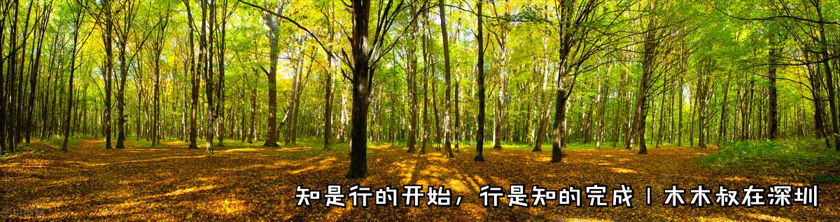 劲嘉股份增长潜力,劲嘉股份董事长乔鲁予