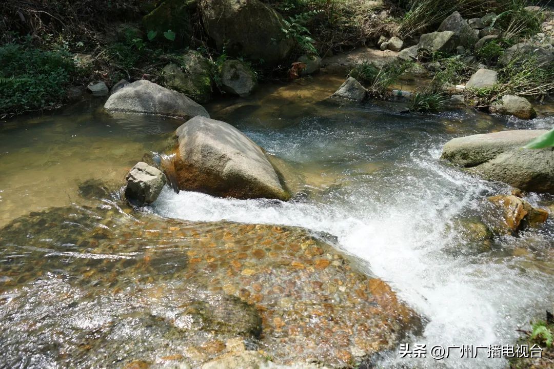 广州室内避暑的地方,广州夏日避暑胜地