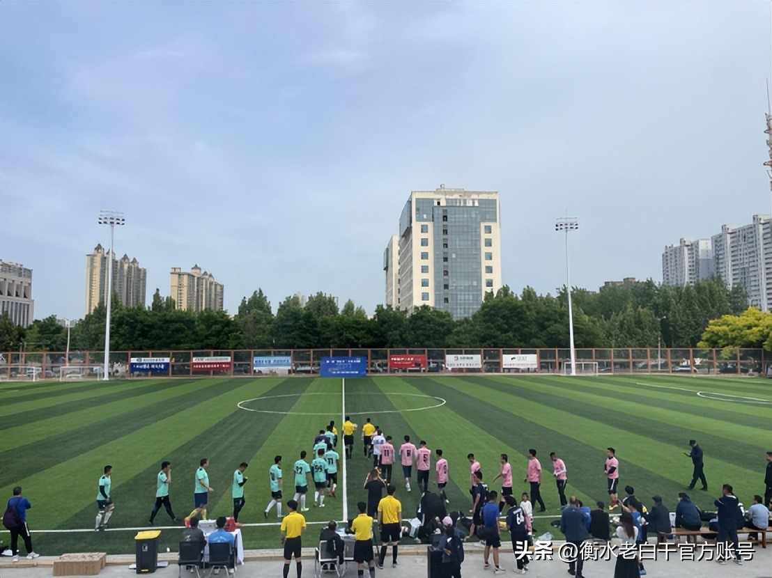 衡水老白干篮球赛衡水赛区,衡水老白干石家庄活动