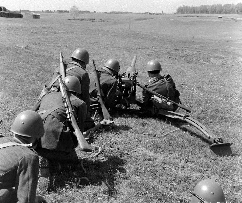 二营长的意大利炮到底长什么样子,二连长的意大利炮是怎么来的