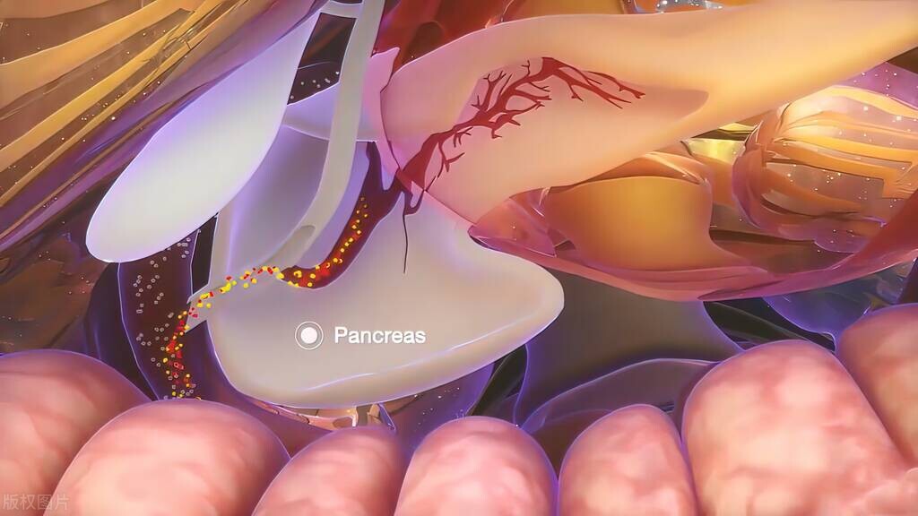 胰腺癌手术后总是拉肚子怎么回事,只是拉肚子是什么原因