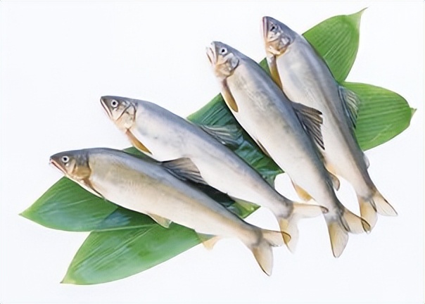 海洋动物体内的原肌球蛋白含量，是否会引起人体食物过敏？