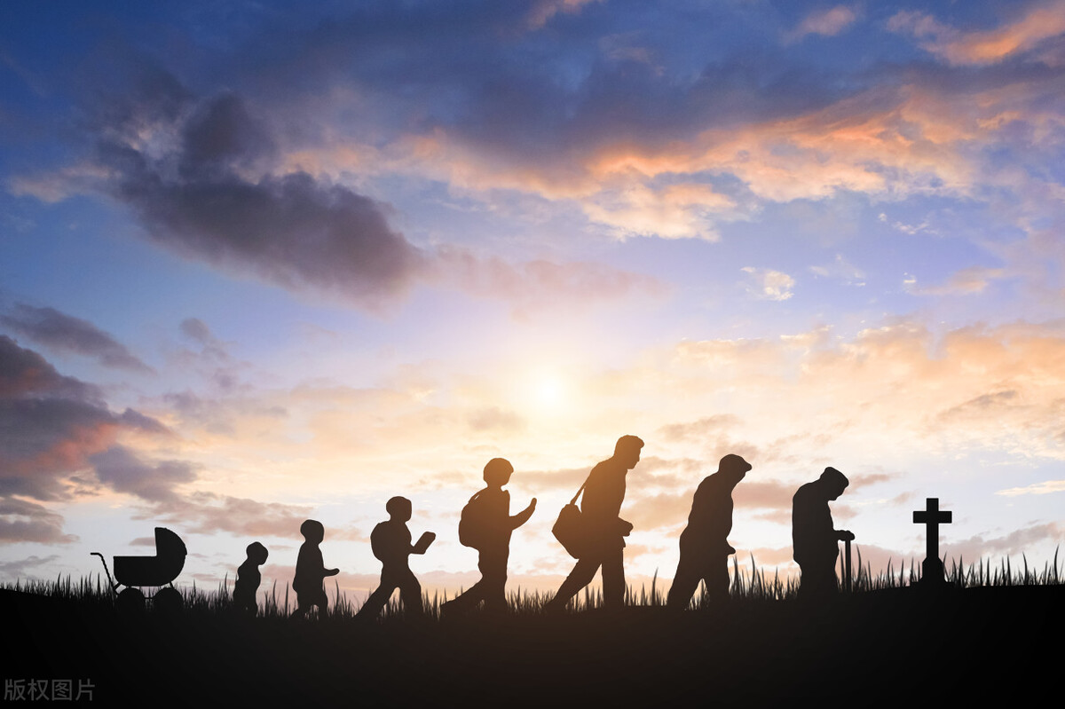 一寸光阴一寸金语句,一寸光阴一寸金散文500字