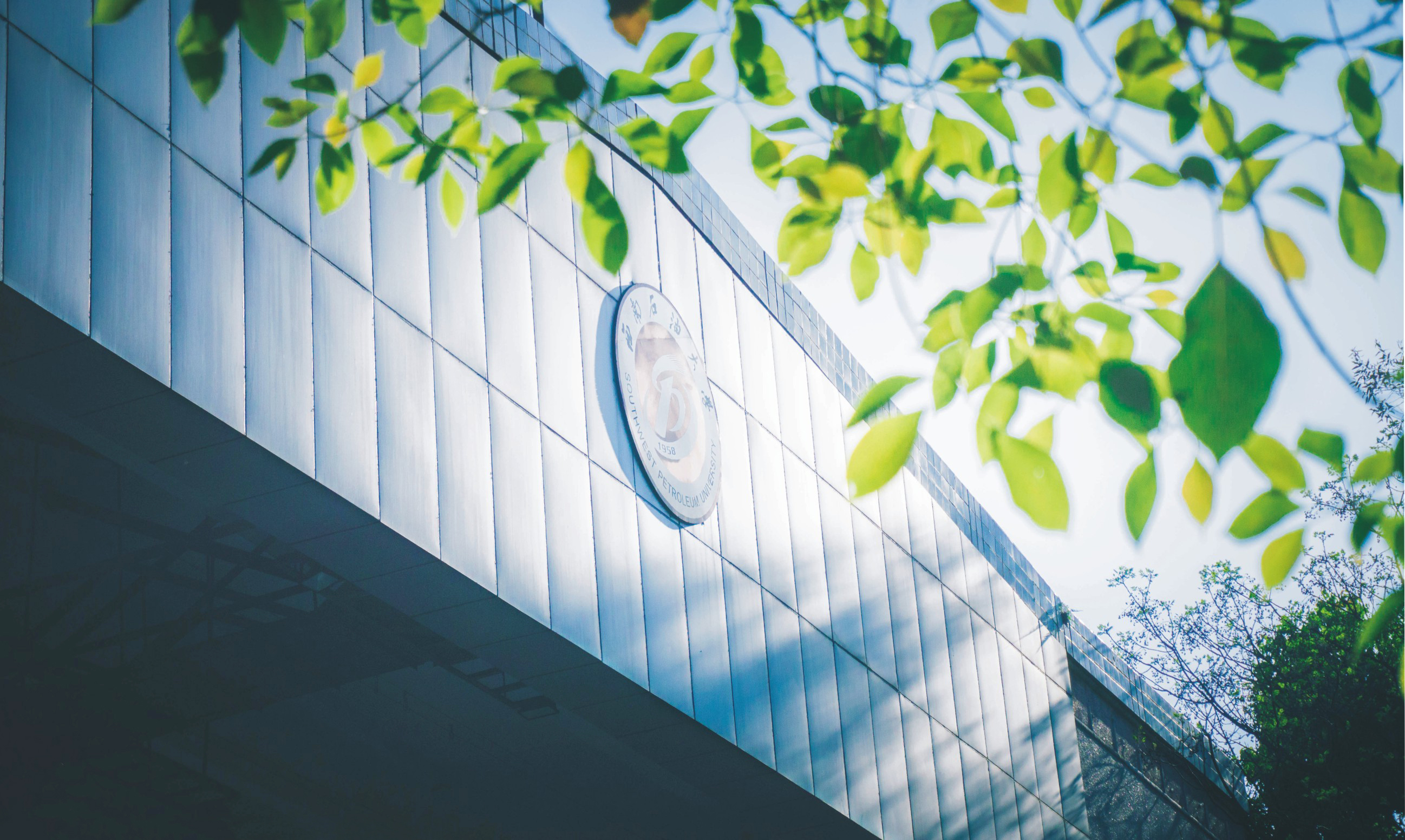 西南石油大学录取分数,西南石油大学历年分数线