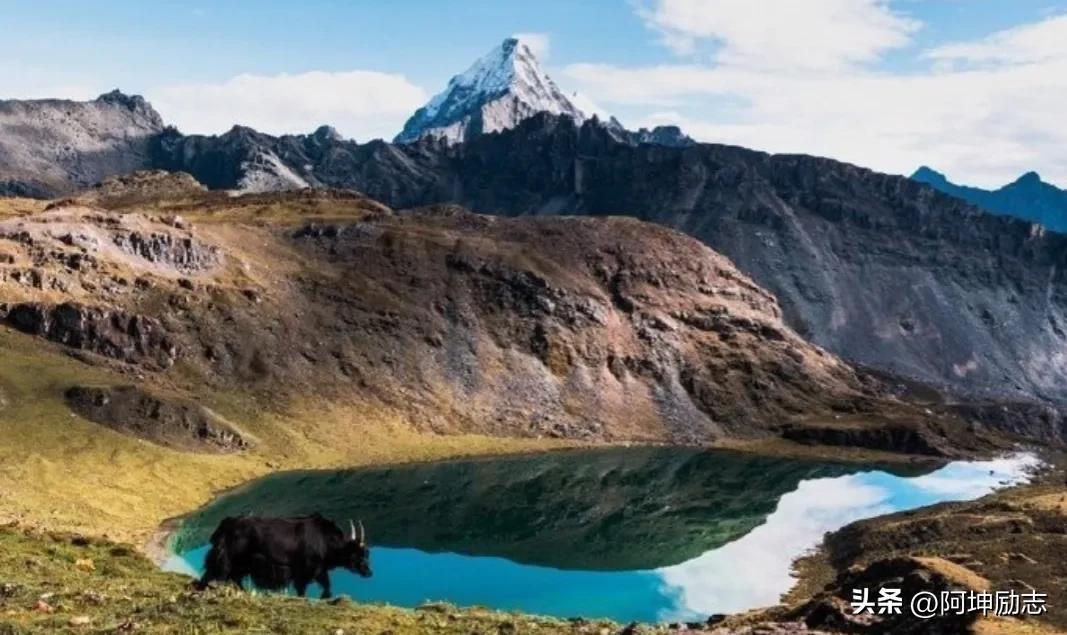 中年人的幸福感和安全感——金钱,大实话