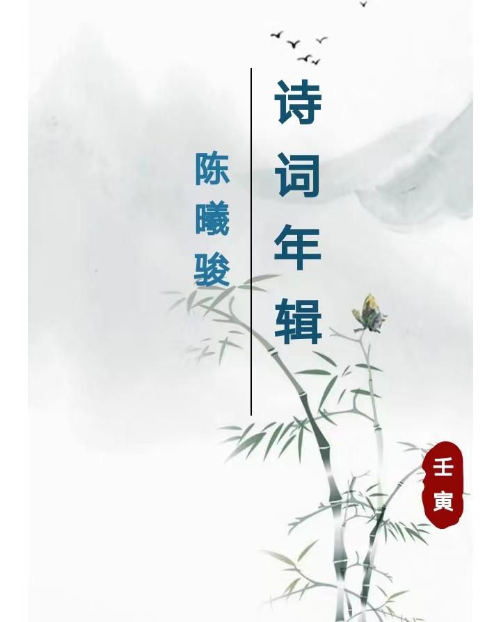 中国诗词大会陈曦骏人物素材,诗词大会第六季总冠军陈曦骏