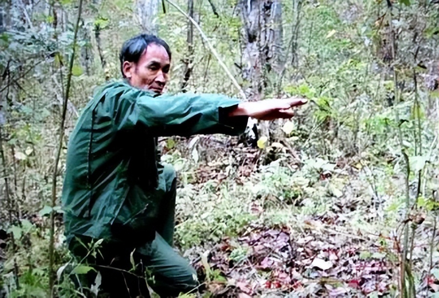 周正龙诈骗案判几年,周正龙的华南虎事件一审判决书