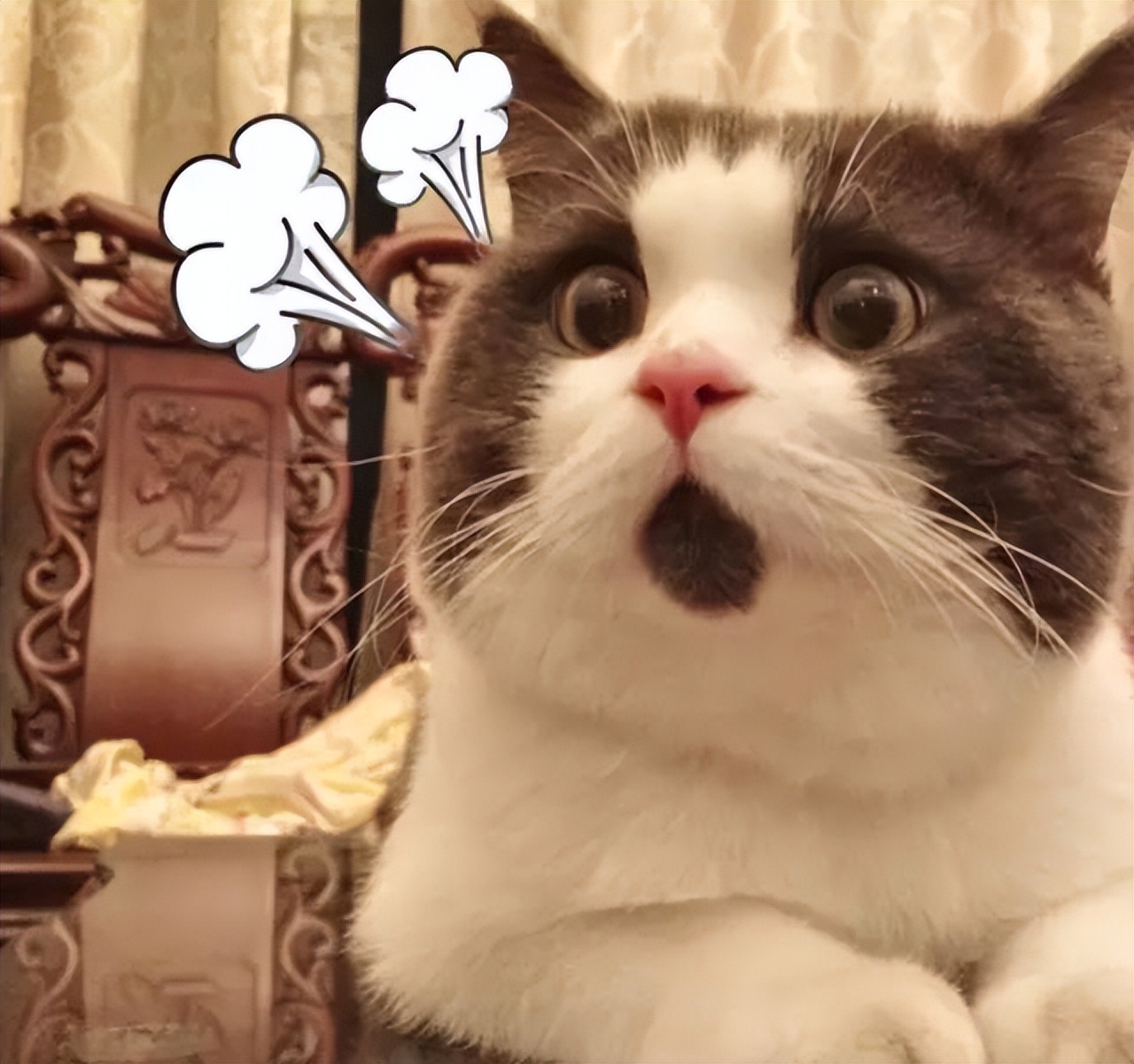 米诺地尔掉头发更严重,使用米诺地尔6个月掉头发正常吗