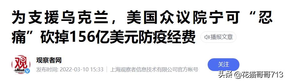 猫哥打比赛,猫哥单挑完整版