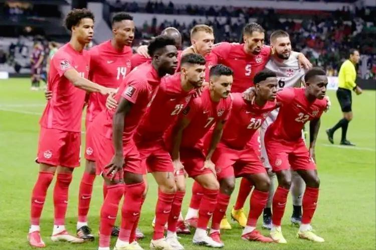 12月1日世界杯预测比分排名,世界杯西班牙vs荷兰5比1比分预测