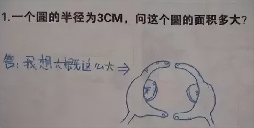 0分试卷美术老师,美术生零分试卷走红