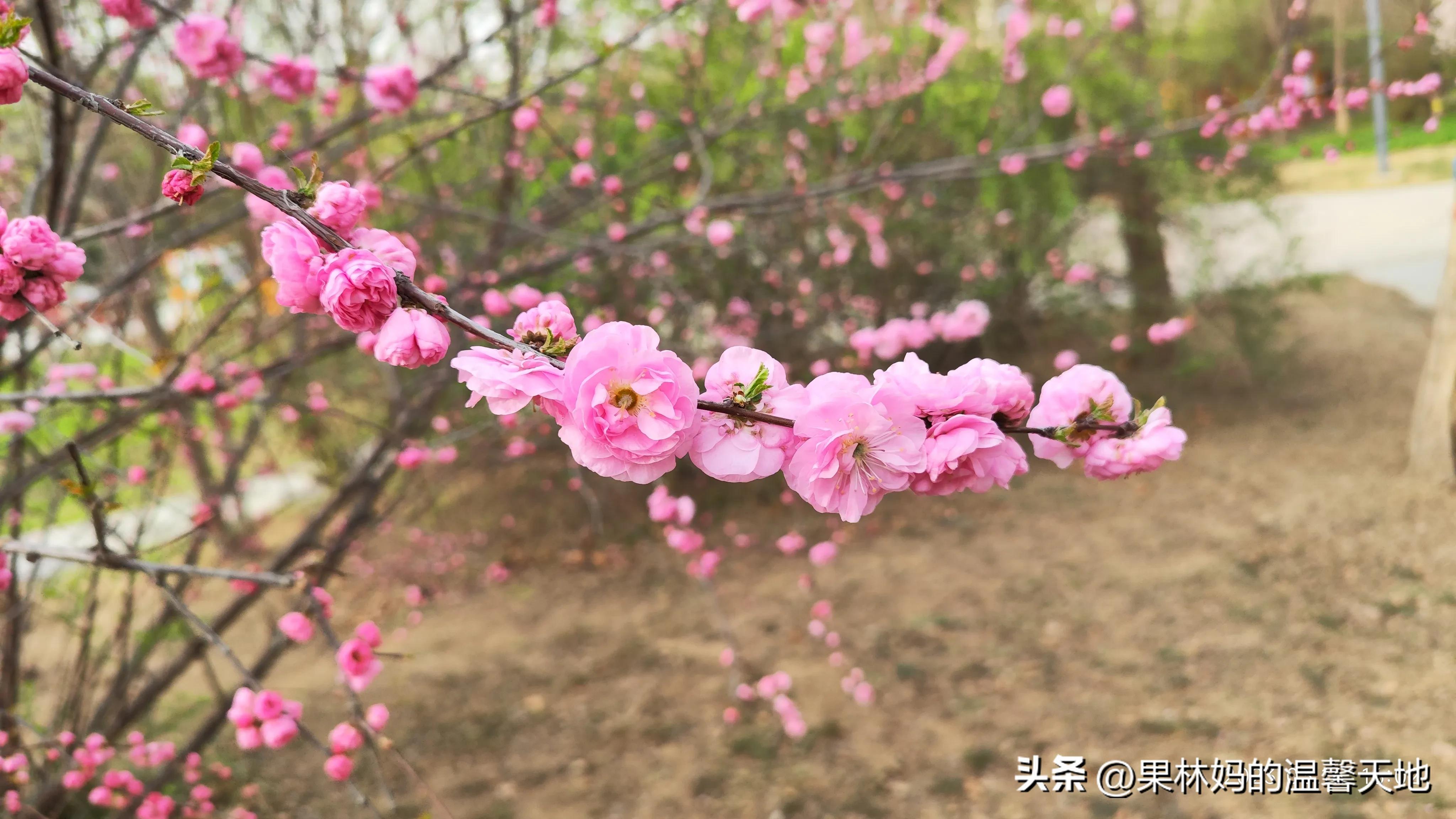 鼻腔有异物可以看急诊吗,晚上鼻腔异物看急诊