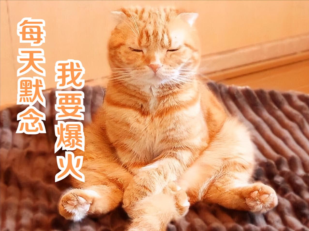 晚上熬夜写作业的小技巧,教你如何在半夜偷偷写作业