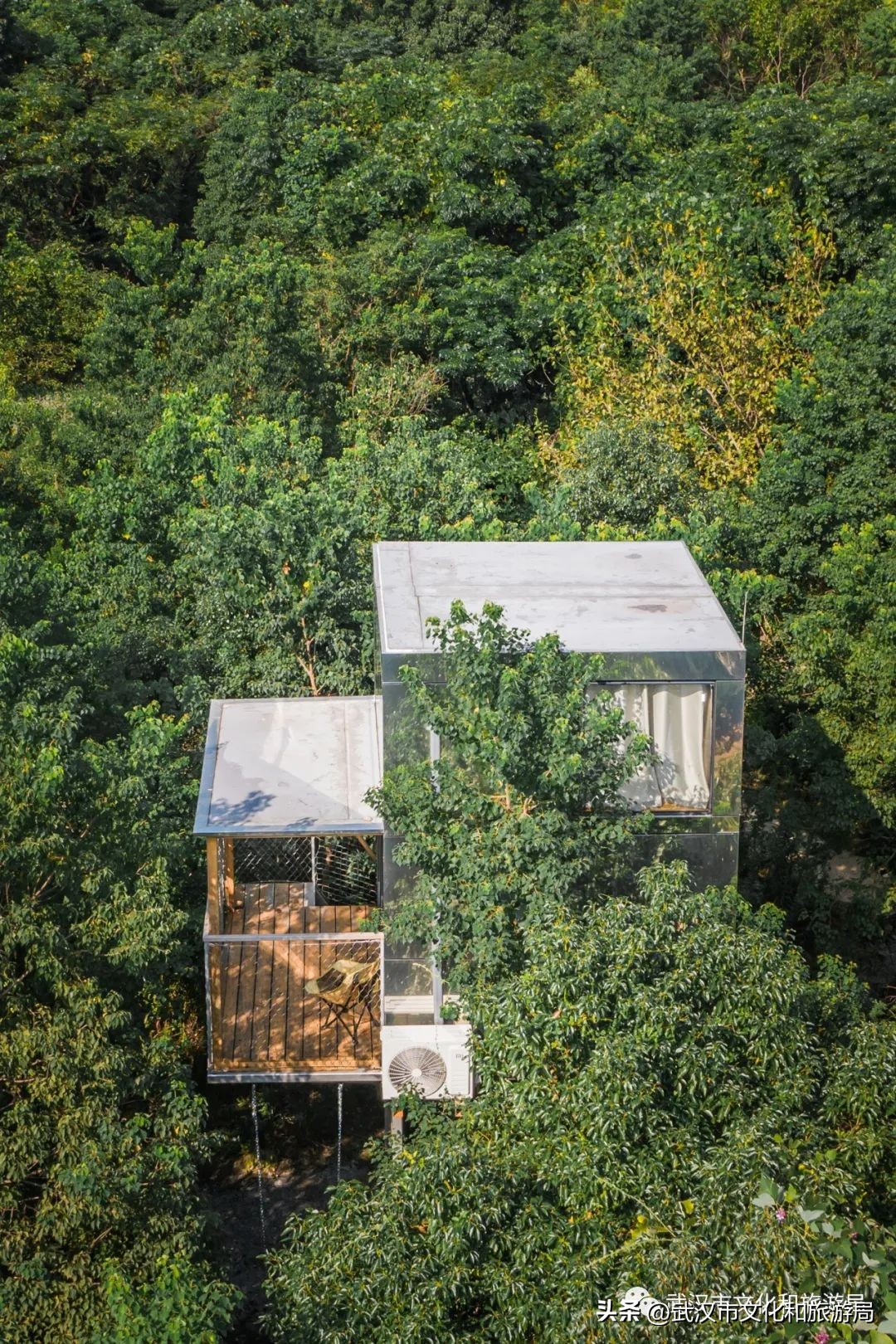 武汉夏天凉快的游玩地方,武汉凉快又免费的景点