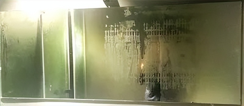 如果车窗起雾该开什么,雨天车窗外起雾正确做法