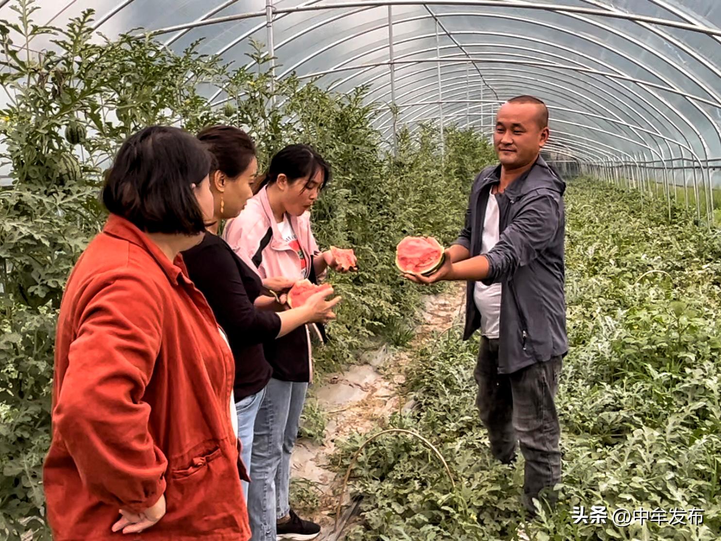 中牟县孟亚伟：90后小伙儿返乡创业争当致富排头兵