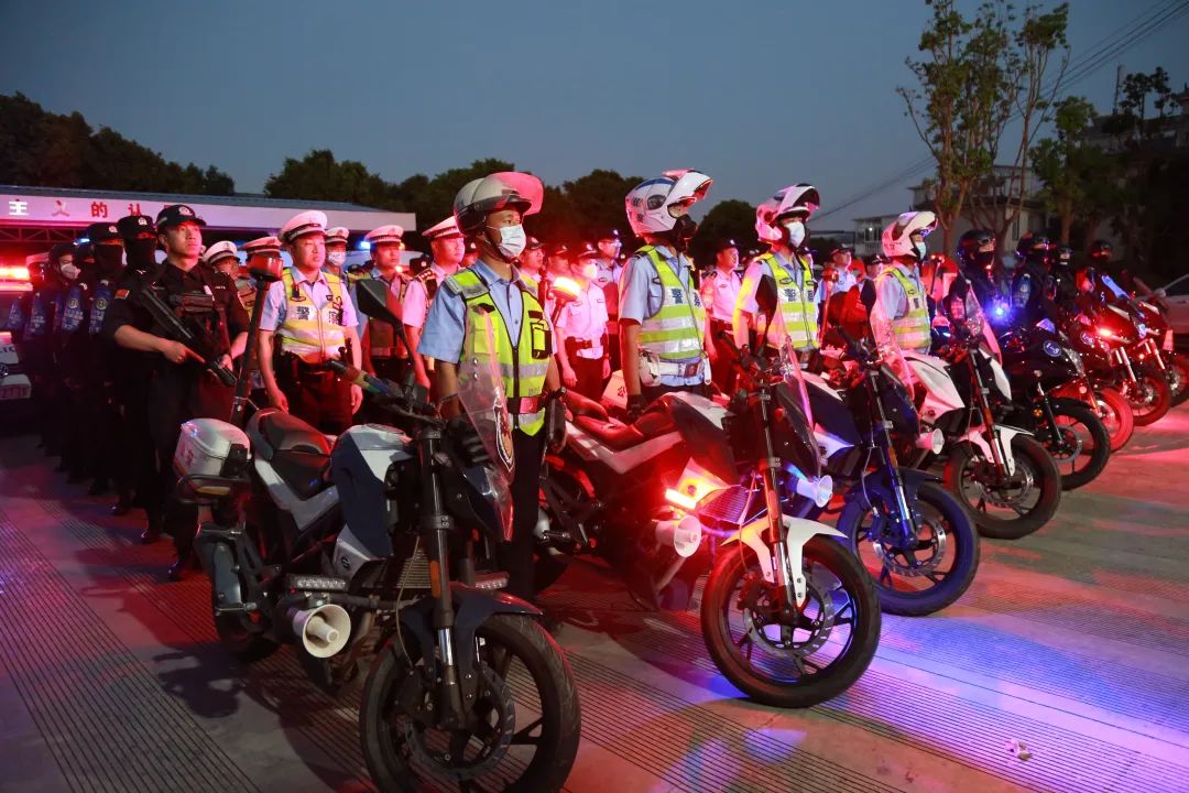 大理社会治安专项整治,大理市公安局治安突出问题整治