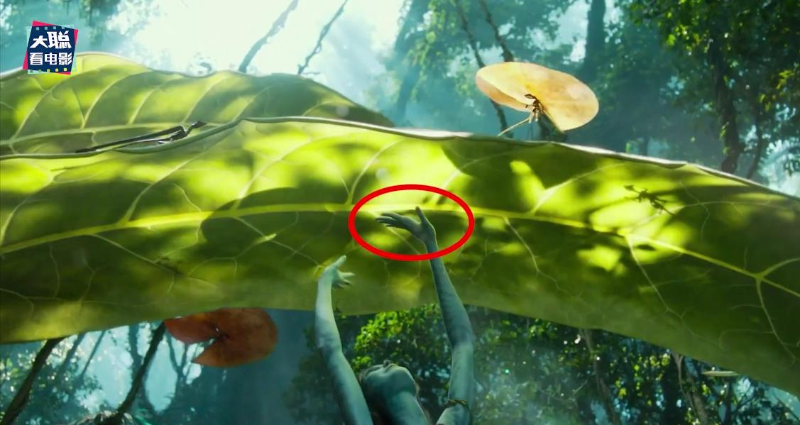 阿凡达2曝光全新中文海报及预告,外网曝阿凡达2预告