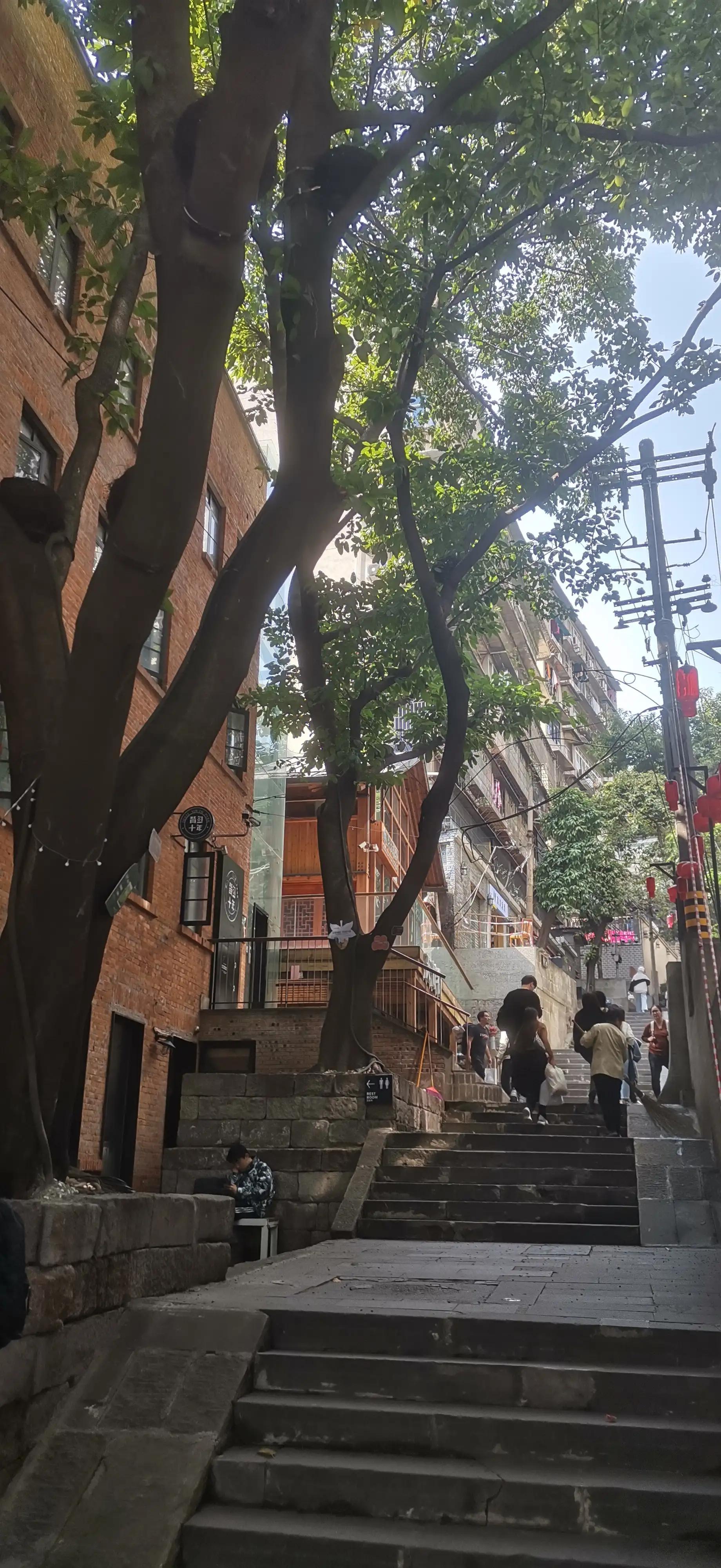 逛重庆车展,逛重庆