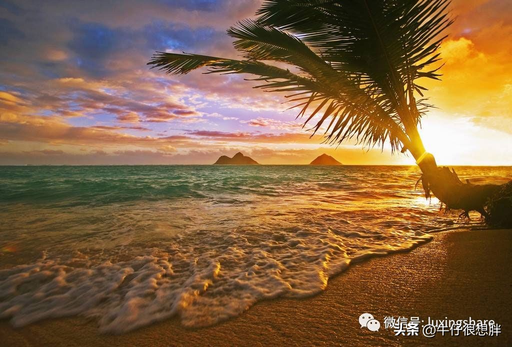 带上这篇夏威夷大岛旅游攻略，去火山一探究竟