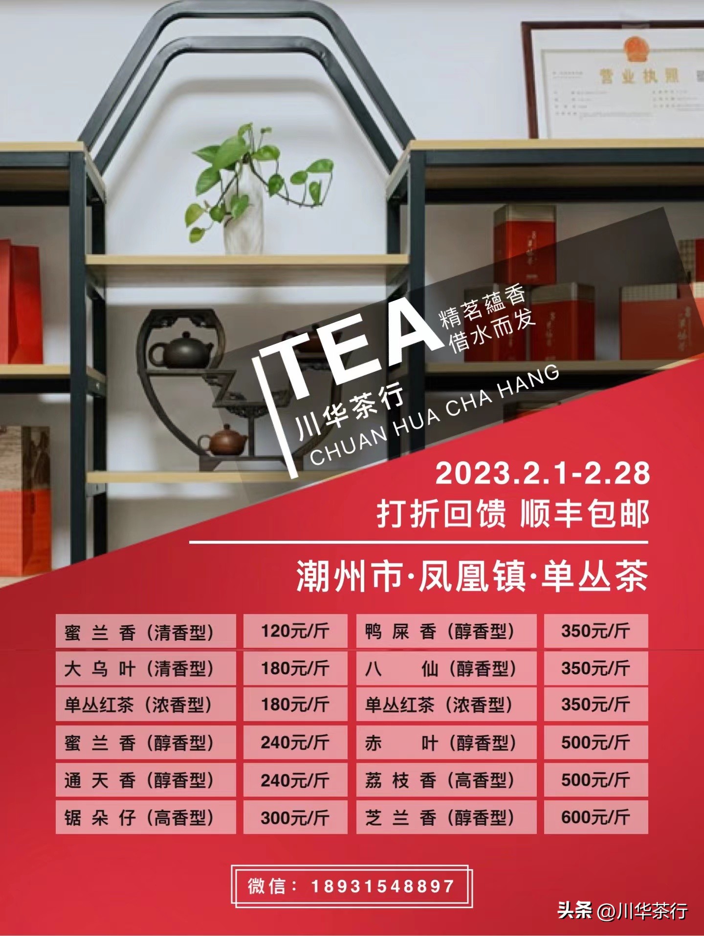 凤凰单丛大乌叶的来历,凤凰单丛大乌叶500g