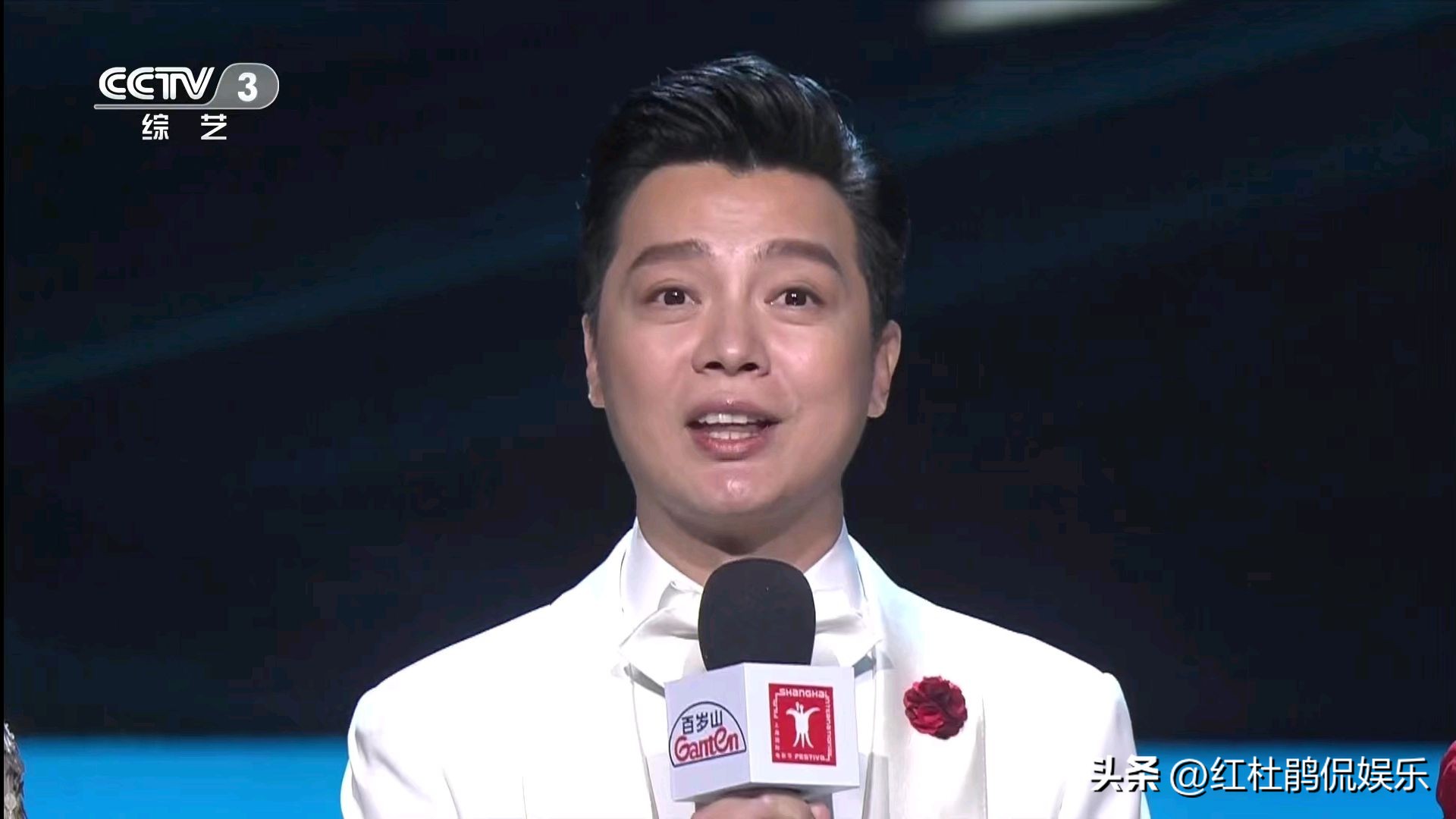 陈辰英文主持视频,陈辰张国立蓝羽