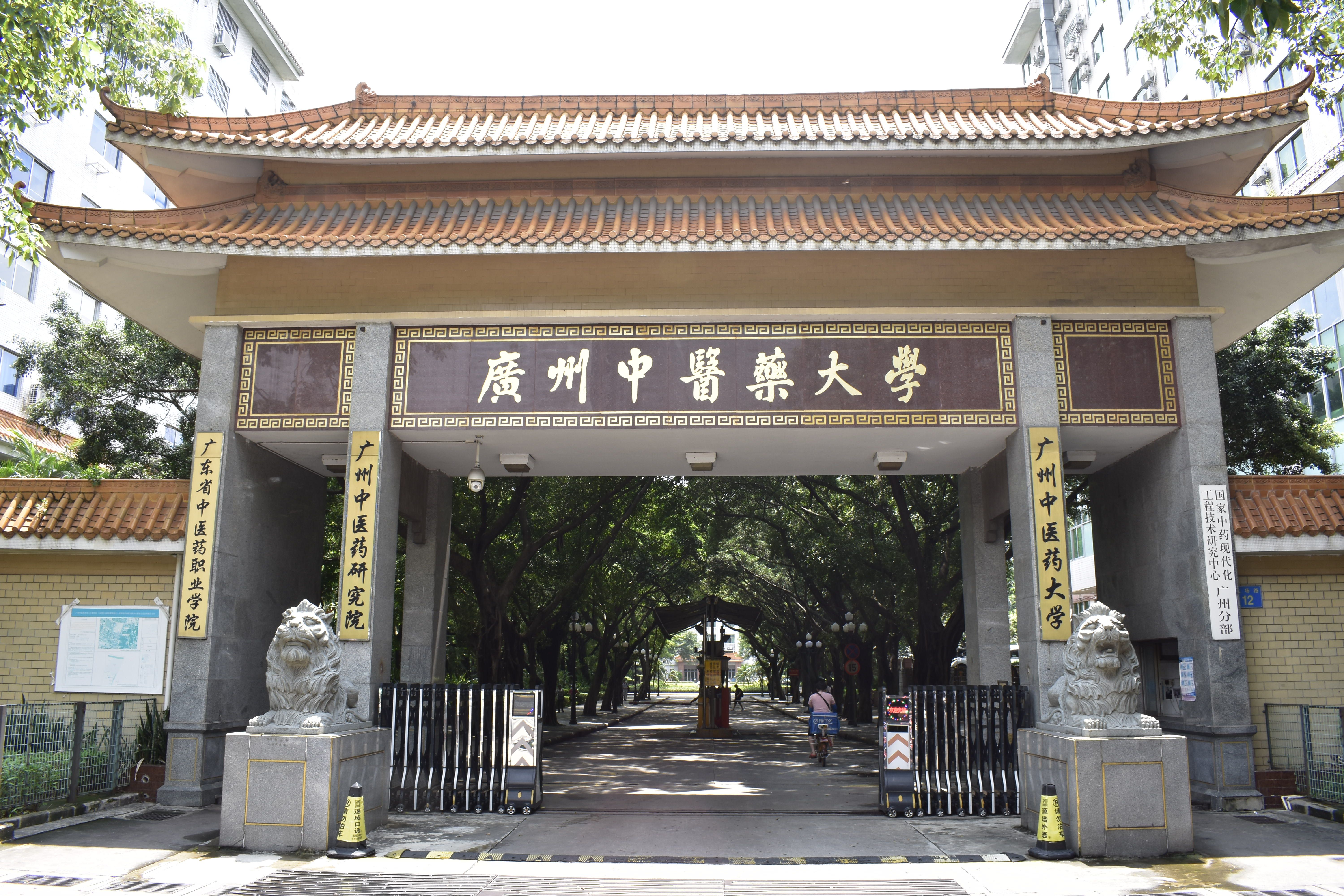 广东最好15所大学的王牌专业,广东十大职业学院王牌专业