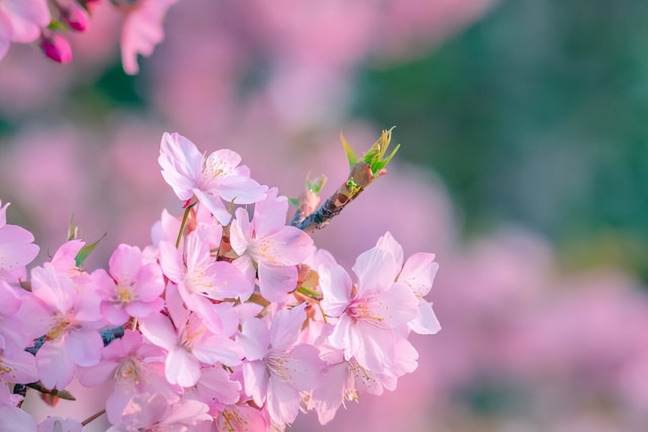 如果有一天表白了你会怎么样,如果有一天有一个男孩跟你表白