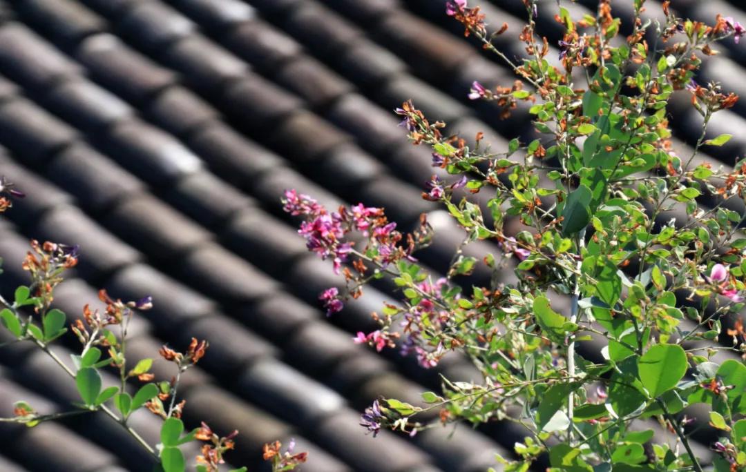 江西民宿排行榜前十名,江西鹰潭民宿排行榜第一名