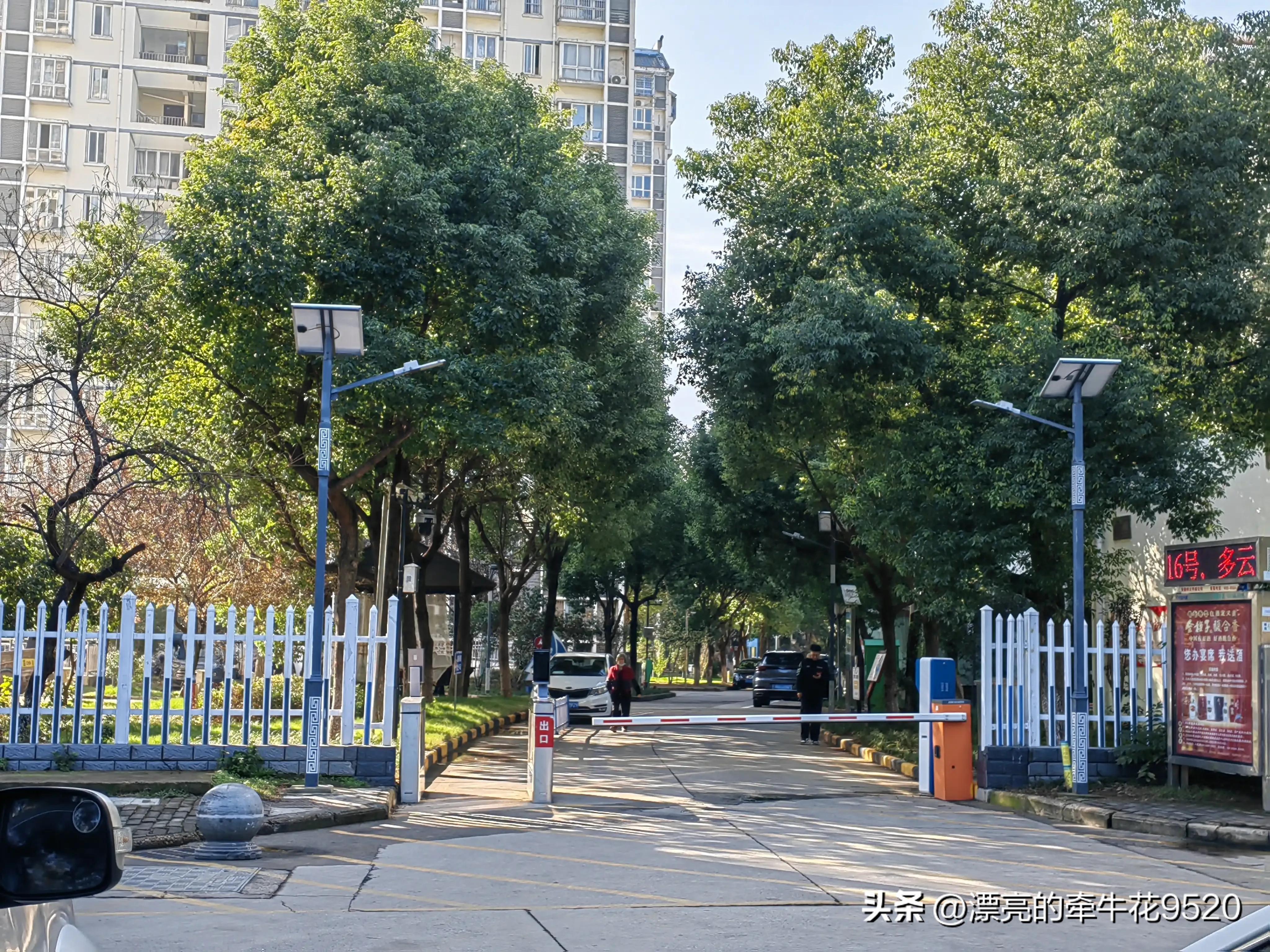 六安月亮岛的风景春夏秋冬,六安月亮岛夕阳美景