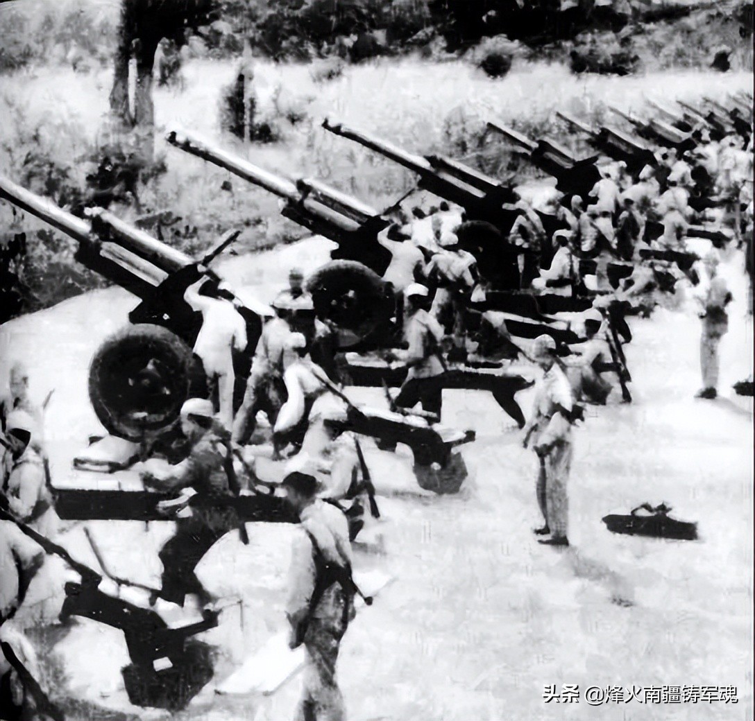 辽宁野生淡干海参,野生辽宁干海参