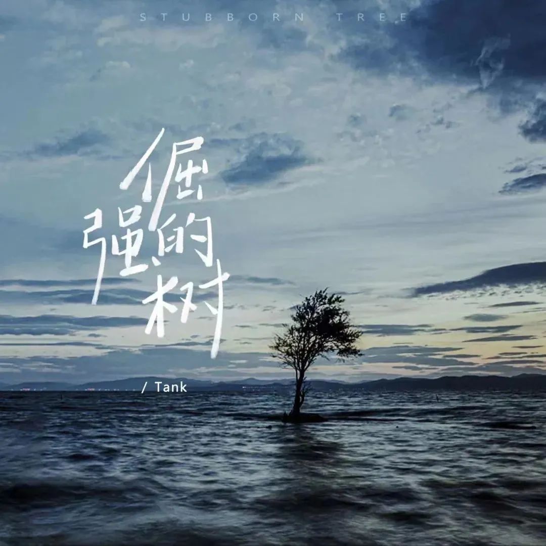 谁的青春回来了全解说,谁的青春回来了全剧