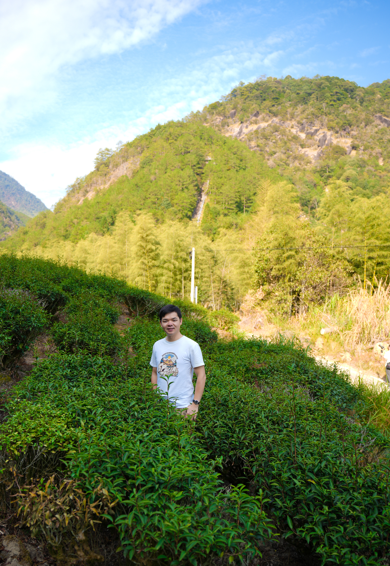 武夷山茶文化之旅,武夷山清香四溢茶