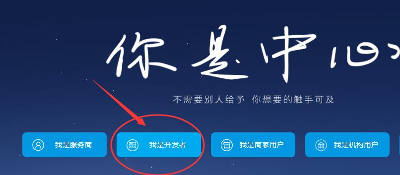 对接支付宝支付接口开发详细步骤,支付宝支付接口申请教程