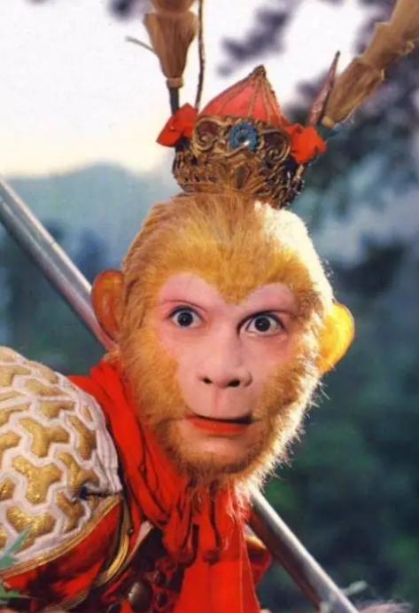 六小龄童抬棺,六小龄童去守墓了吗