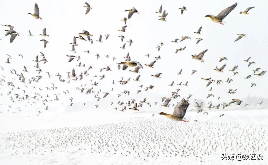 无人机宇宙摄影,无人机拍出十大奇观