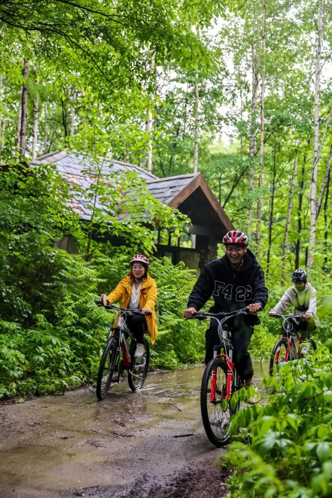滑雪场开启夏季游,夏季开放的滑雪场