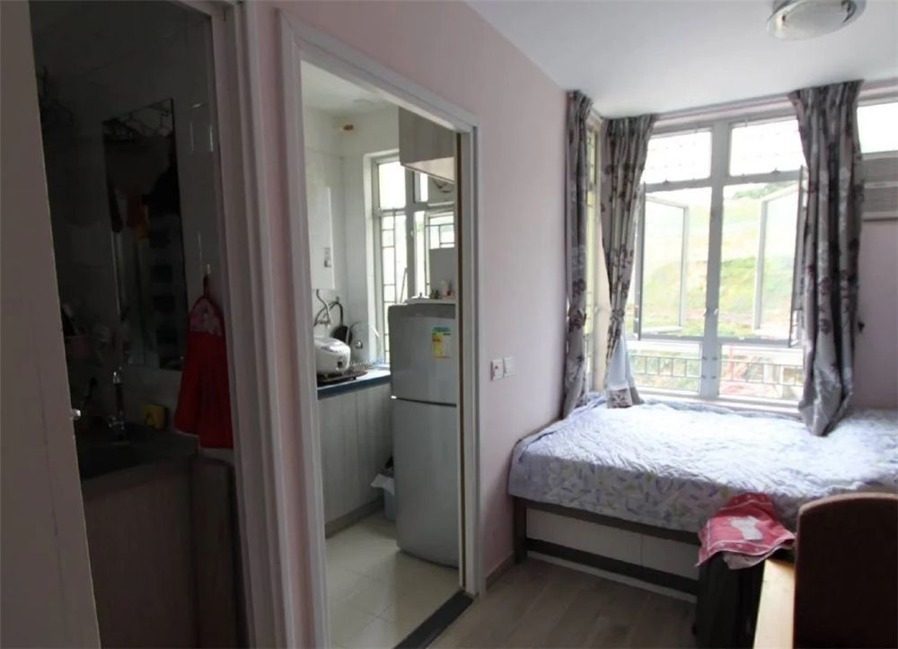 香港十几平蜗居夫妻,香港夫妻买下20平方蜗居