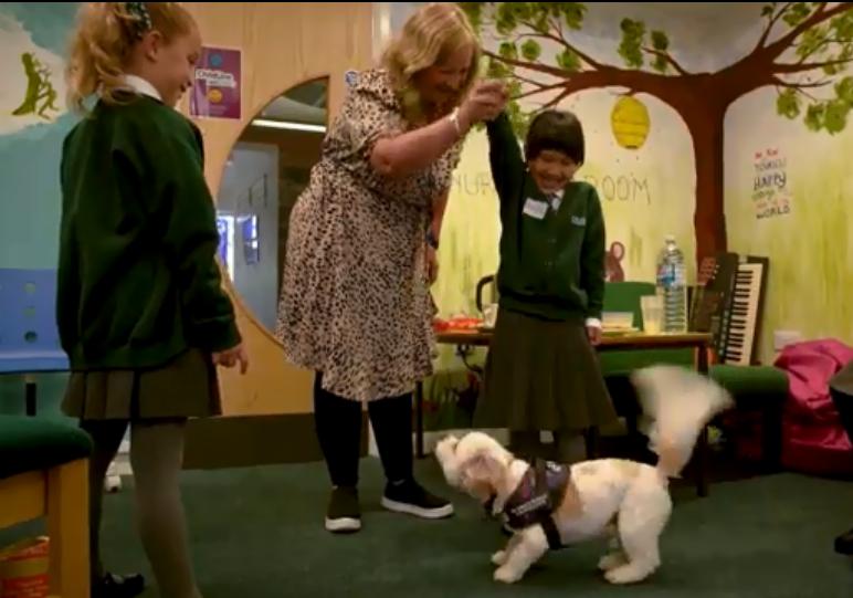 香港夫妇移居英国现在怎么样了,移居英国的香港两口子现在如何了