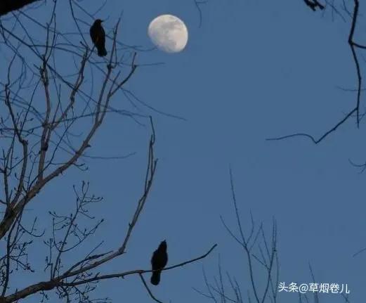 妻子与壮汉有染丈夫消失十几年,妻子与邻居有染被丈夫打