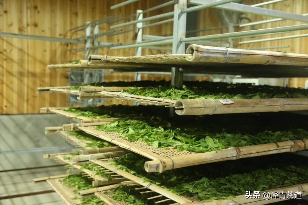 十大名茶是指哪十大,中国十大名茶最新排行建议收藏