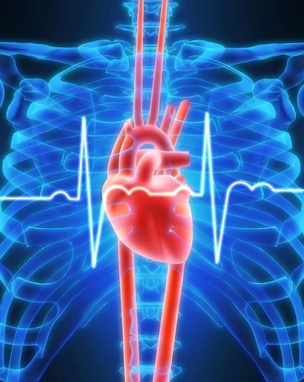 为了研究*行为性**，科学家都做过哪些奇葩实验？达芬奇也参与其中