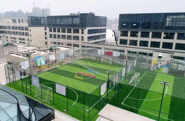 浙江足球改革最新消息,足球改革的重要意义