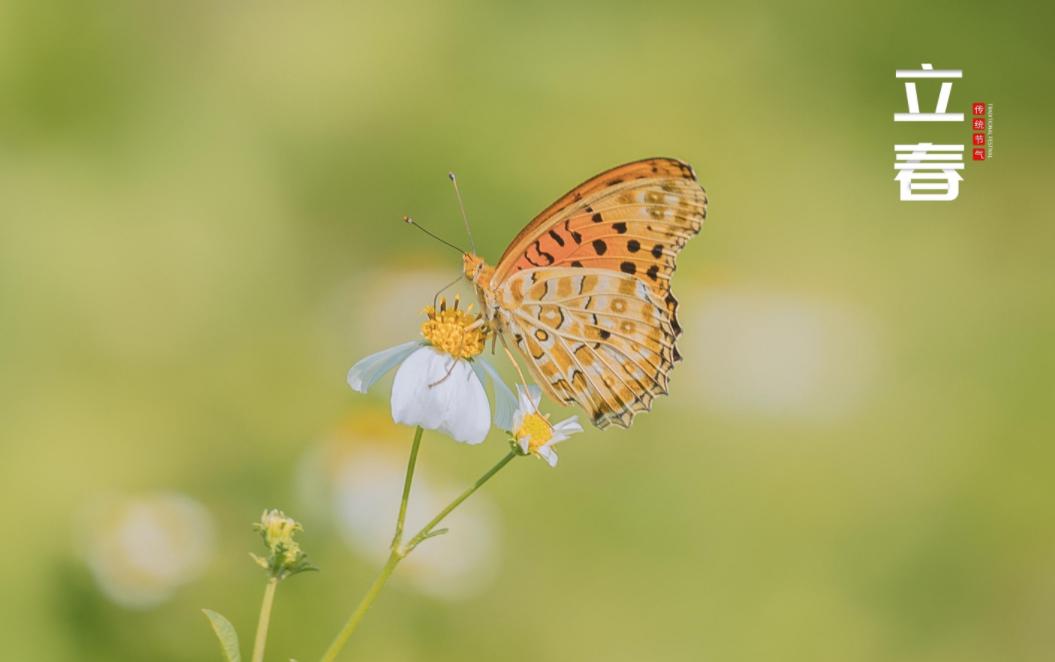 关于立春的古诗词名句,10首立春诗词送你最美的祝愿