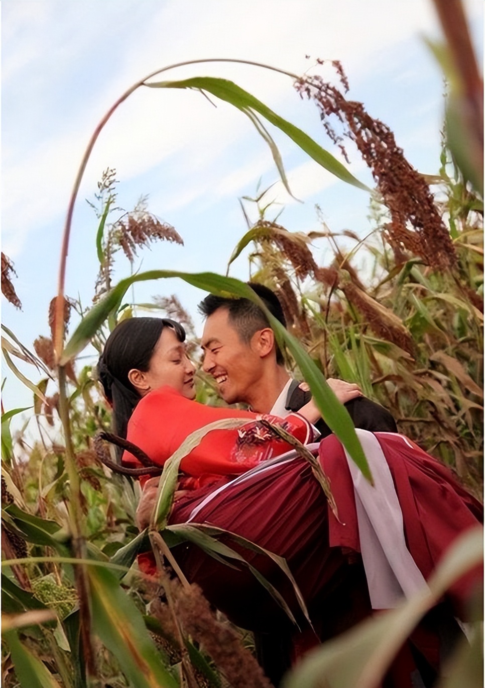 红高粱莫言经典解读,莫言红高粱深度解析