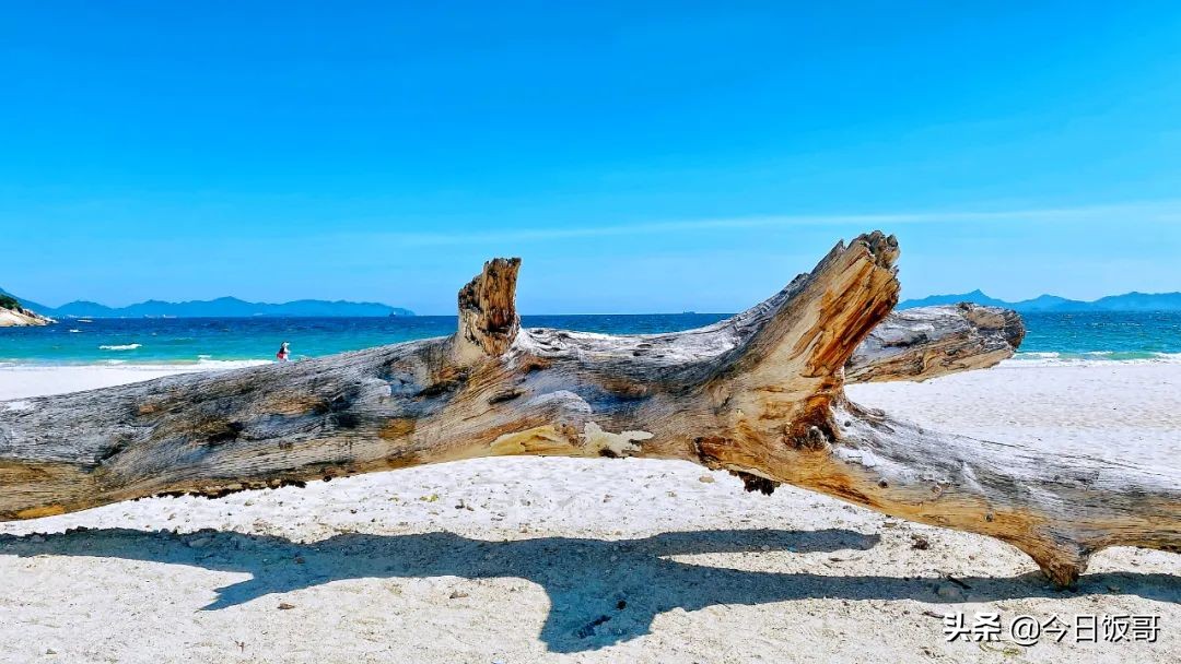 深圳海边五一亲子游赶海推荐,清明海边深圳攻略