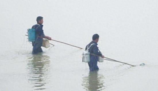 为什么电鱼危害大,电鱼违法为什么还有电鱼设备