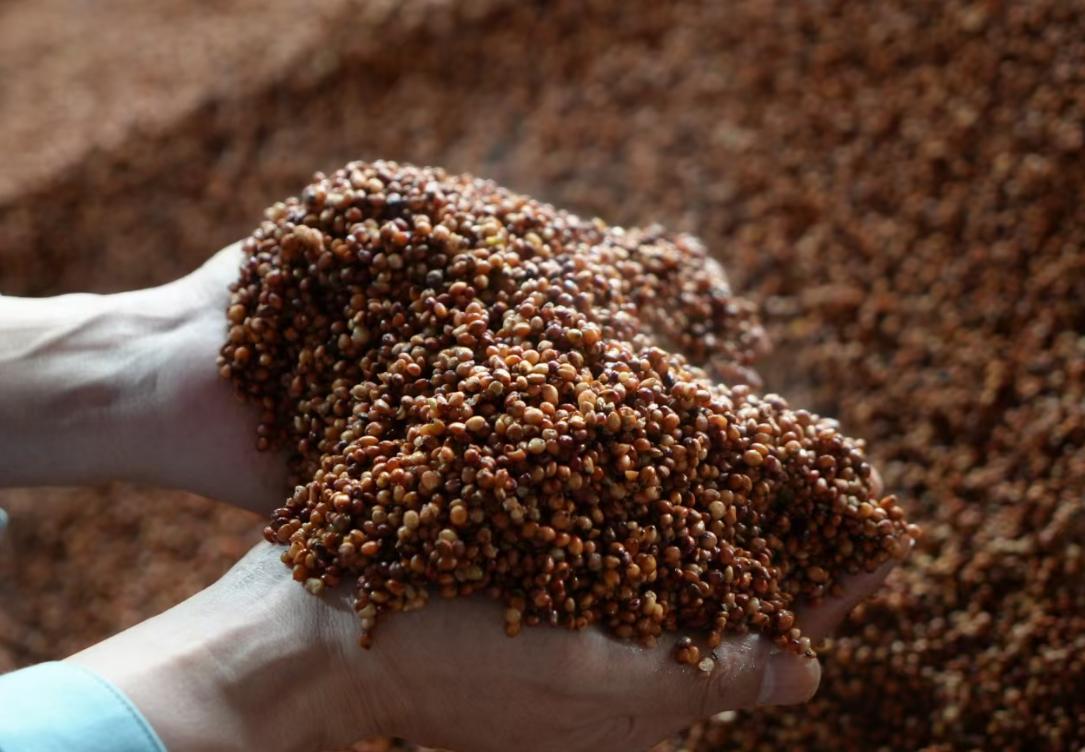 农村散酒10元一斤能喝吗,6元一斤的农村散酒能喝吗