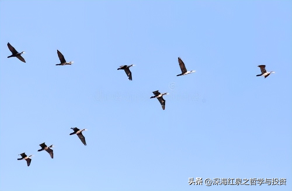股市趋势转折来龙去脉,股市趋势交易法的精髓总结