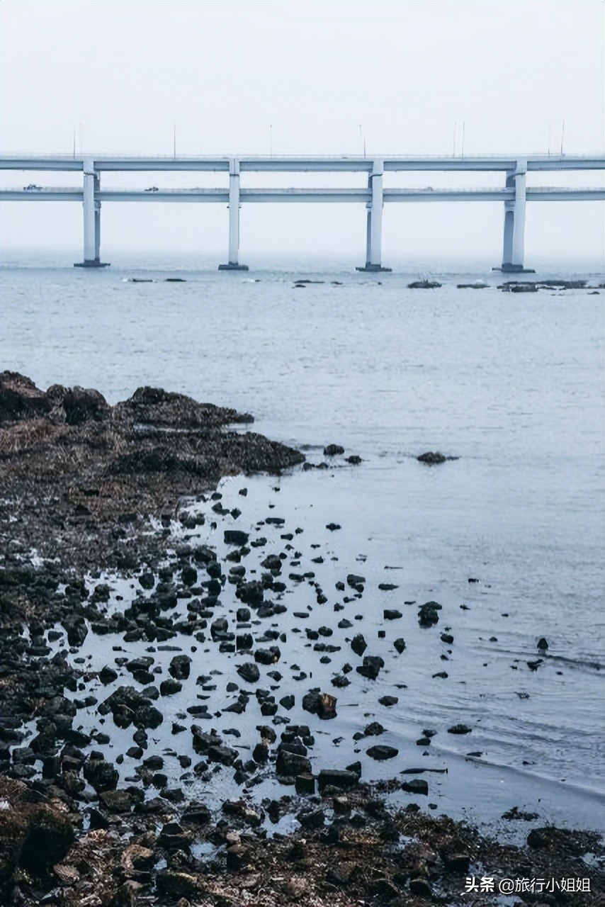 夏日海边浪漫迷人,滨城风光秀丽浪漫气息爆表